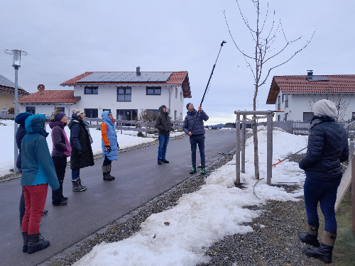 Streuobstwiesen im Markt Weitnau